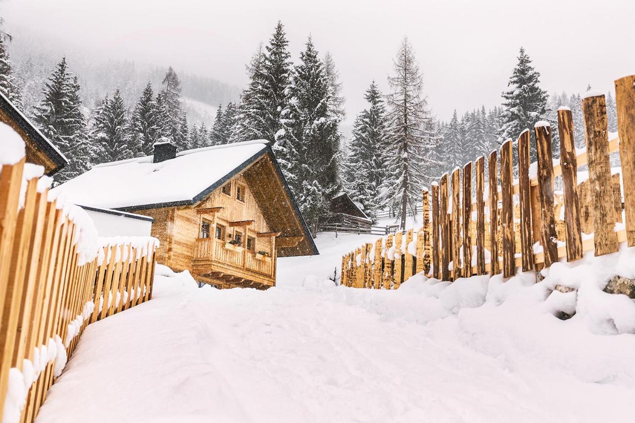 Bergseegut Chalet Und Apartment 바그라인 외부 사진