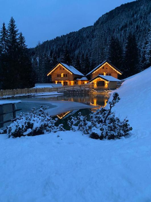 Bergseegut Chalet Und Apartment 바그라인 외부 사진