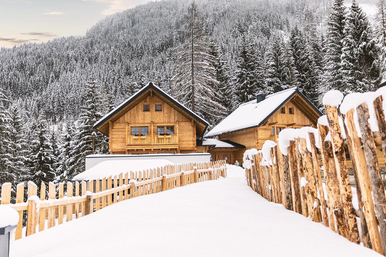 Bergseegut Chalet Und Apartment 바그라인 외부 사진