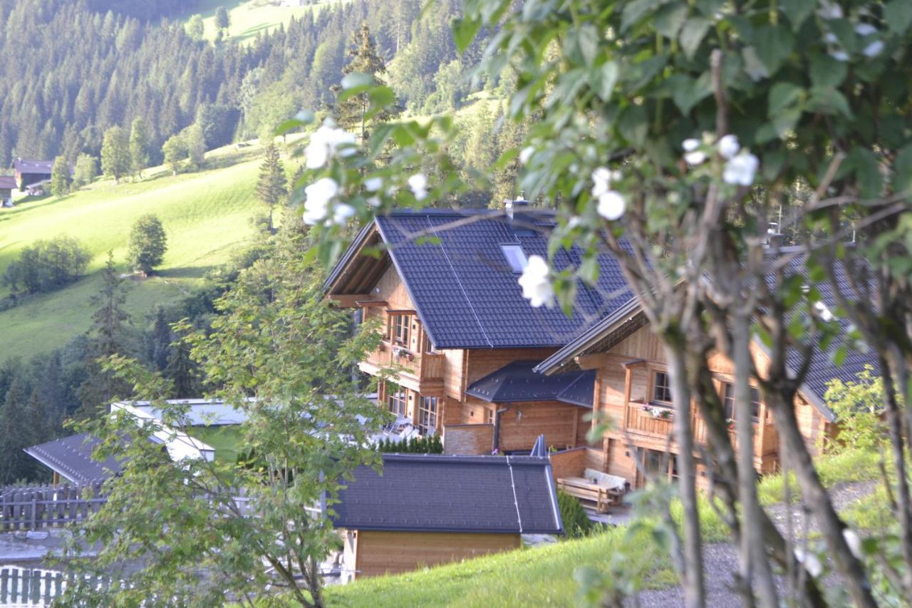 Bergseegut Chalet Und Apartment 바그라인 외부 사진