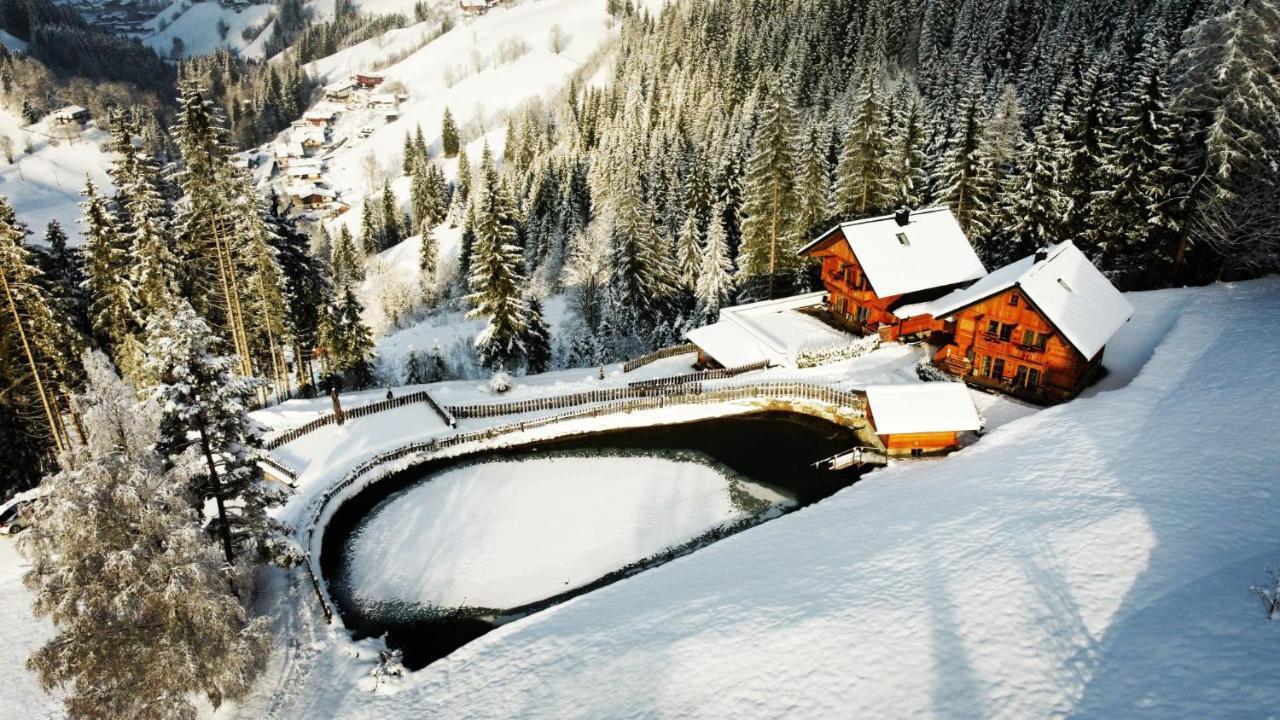 Bergseegut Chalet Und Apartment 바그라인 외부 사진